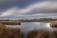Kampina