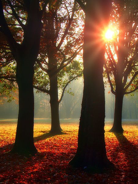 De Zon van Edgar Schermaul