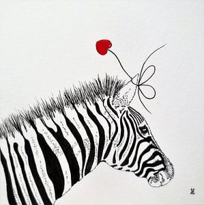 HeartFlow Zebra