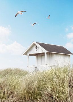 Cabane de plage sur Gal Design