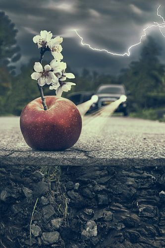 Intrigerende Beeldmanipulatie: Appel Bloeit door Asfalt - Veerkracht en Natuurlijke Kracht in Kunst