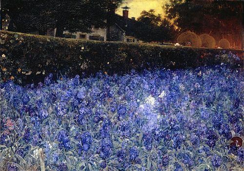 Zomerweelde - Jac van Looij