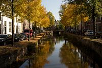Herfstkleuren in Amersfoort