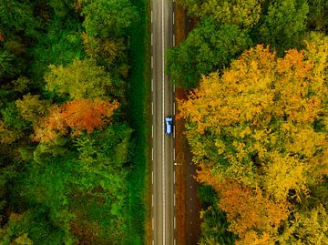 Road through an autumn forest with colorful leaves seen from abo by Sjoerd van der Wal Photography