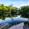 Central Park New York City sur Eddy Westdijk