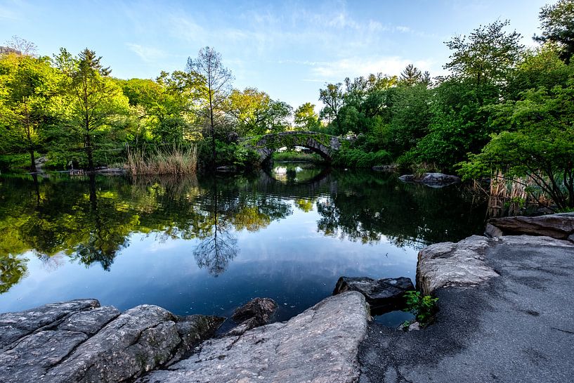 Central Park New York City by Eddy Westdijk