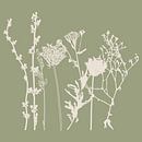 Meadow Botanical art in Sage Green en Beige nr. 3 van Dina Dankers thumbnail