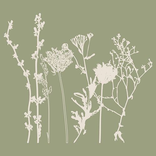 Meadow Botanical art in Sage Green en Beige nr. 3