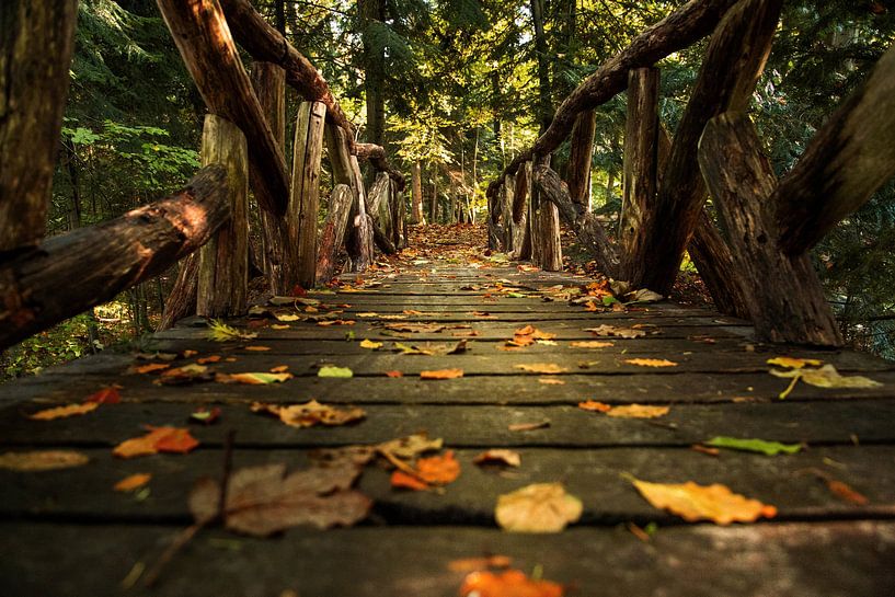 Wunderbare Brücke von P Kuipers