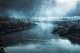 Nocturnal Spirits. by Inge Bovens