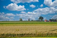 Molen in landschap