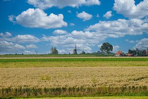Moulin dans le paysage