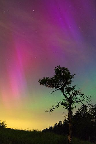 aurora borealis on the moors