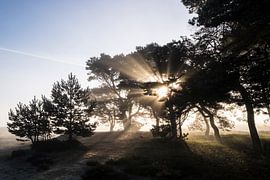 Zonsopkomst Balloereveld von Rens Zwanenburg