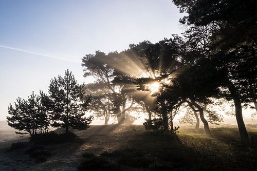 Zonsopkomst Balloereveld