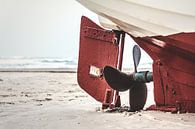Hélice sur la plage par Florian Kunde Aperçu