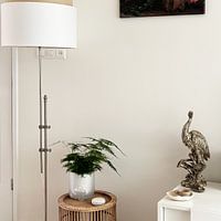 Photo de nos clients: Paon royal par ArtsbyPol, sur toile