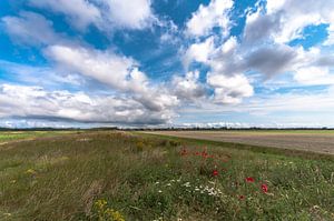 Hollandse Zomer deel 1 van Alex Hiemstra