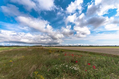 Hollandse Zomer deel 1