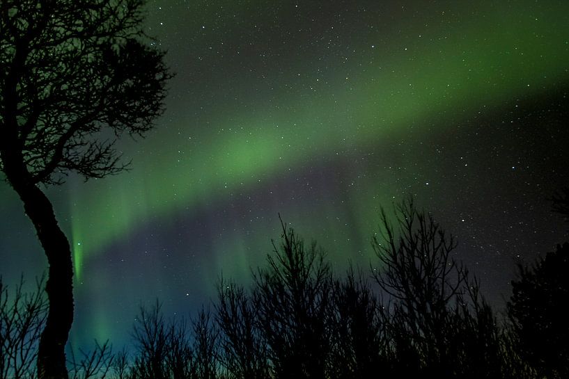 Aurora boréales par Ymala Antonsen