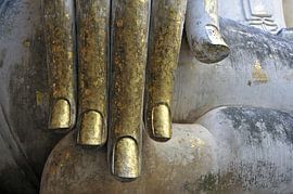 die Hand von Buddha von Walter G. Allgöwer