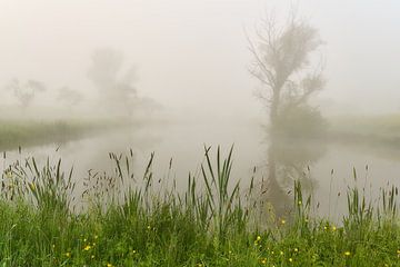 Waterlandschap in de mist van Ad Jekel