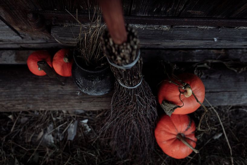Autumn Vibes by Hello Pompoyo