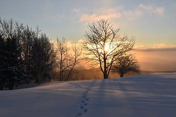 Un  lever de soleil un matin froid sur Claude Laprise