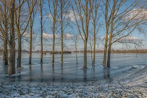 Un monde gelé sur Moetwil en van Dijk - Fotografie