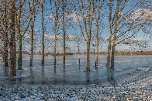 Frozen World