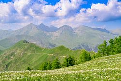 Berglandschaft im Parc national du Mercantour in den Alpen