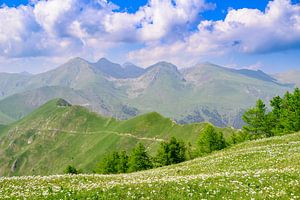 Berglandschaft im Parc national du Mercantour in den Alpen