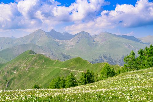 Berglandschap in Parc national du Mercantour in de Alpen