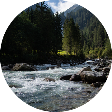 Prachtig landschap bij de Krimml watervallen in Oostenrijk van David Esser