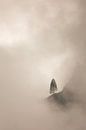 Minimalist Tree in Mist in Srilanka - Portrait by Rudolfo Dalamicio thumbnail