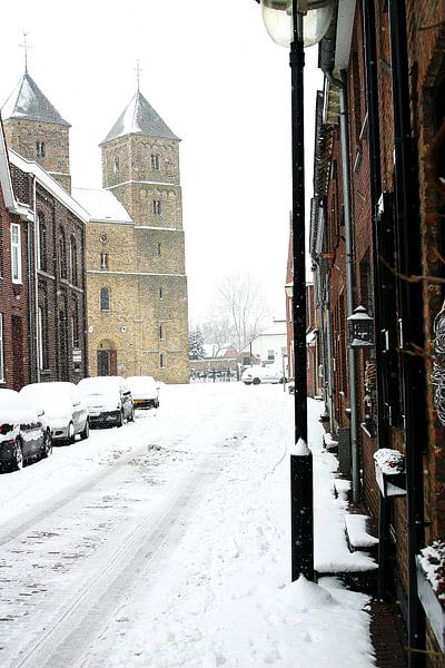 Basiliek in besneewde straat von Sanne Custers