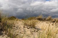 texel