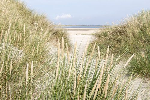 Durch die Dünen von Hilda Weges