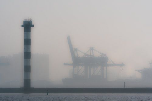 Maasvlakte, Hoek van Holland / Rotterdam
