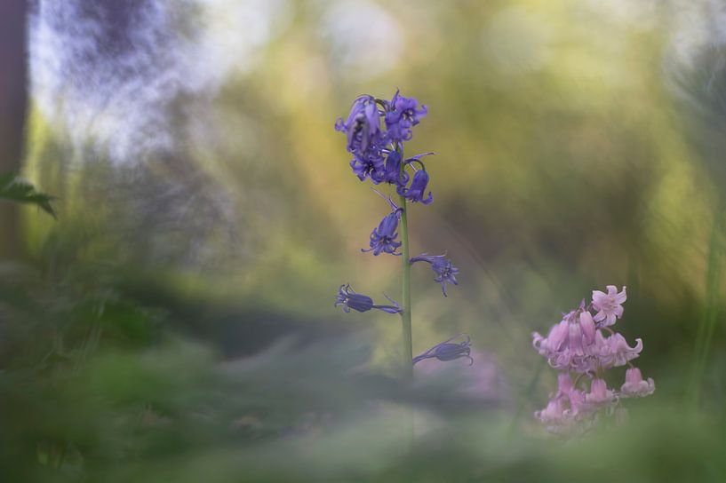 Im Park von Birgitte Bergman