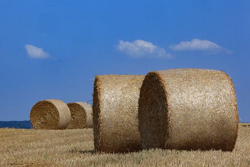 Hooi balen op het veld