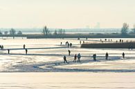 Winter Schaatsen op het meer. von Brian Morgan Miniaturansicht