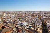 Sevilla von oben von Jolene van den Berg Miniaturansicht