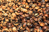 tasses à thé anciennes, Sri Lanka