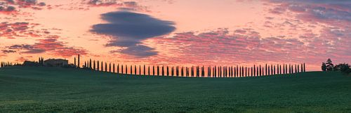 Zonsopkomst Poggio Covili, Val d'Orcia, Toscane, Italië