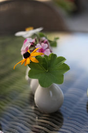 Blumenstillleben von Erwin van Damme