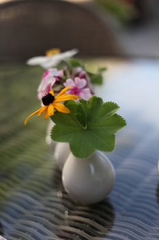 Blumenstillleben