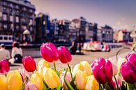 Tulipes à Amsterdam avec un arrière-plan flou par Kim Bellen Aperçu