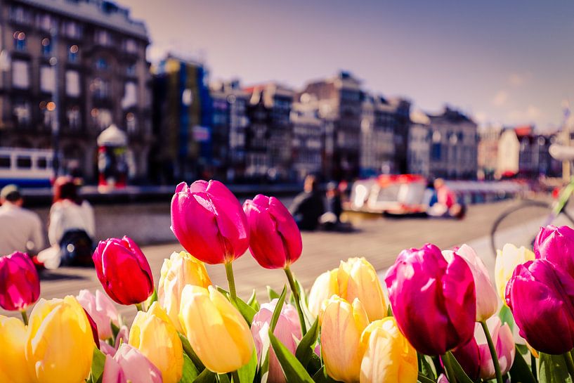 Tulipes à Amsterdam avec un arrière-plan flou par Kim Bellen