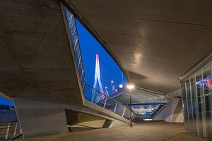 Die Erasmusbrücke in Rotterdam von unten gesehen in Rot, Weiß und Blau